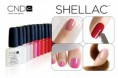 /album/fotogalerie-shellac/shellac1-jpg1/